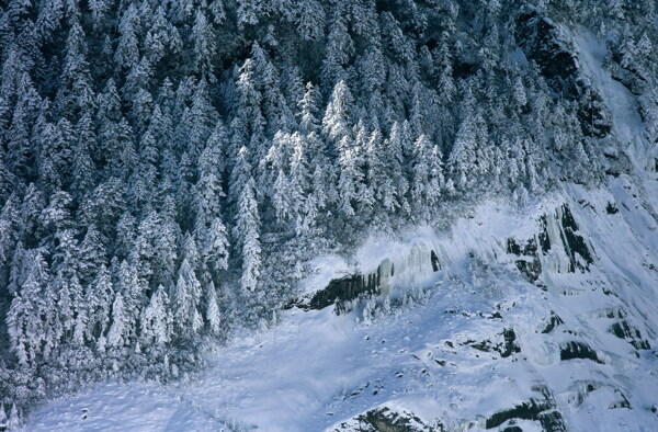 冬天雪景雪景大雪