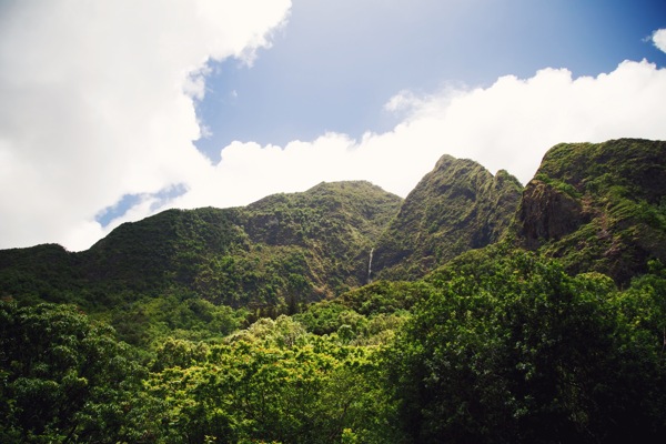 美丽的山间树林风景图片