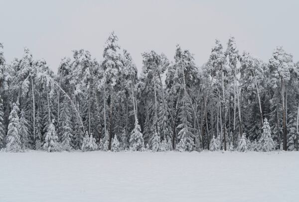 雪花