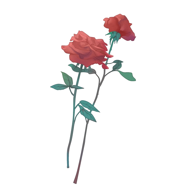 手绘唯美清新玫瑰花元素