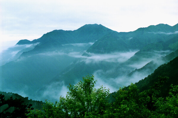 汉阳峰春意图片