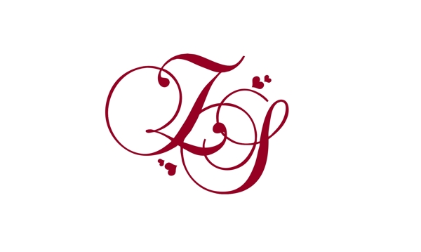 ZS婚礼logo