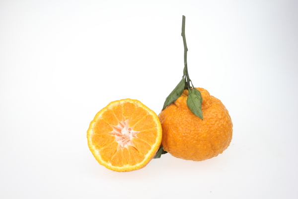 丑橘丑柑图片