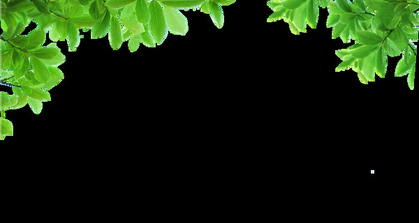 绿色叶子装饰素材