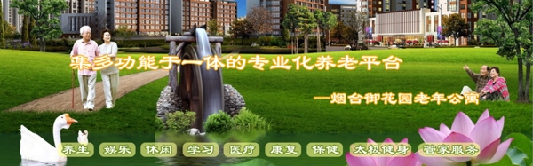 网站banner设计