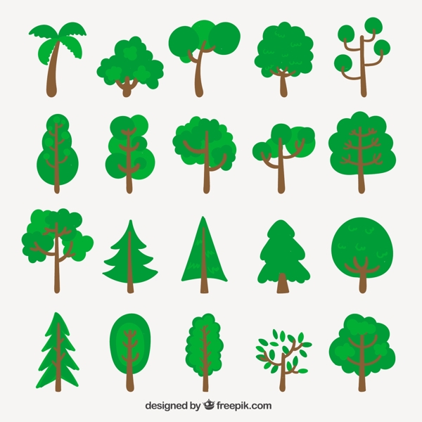 粗略的树木品种