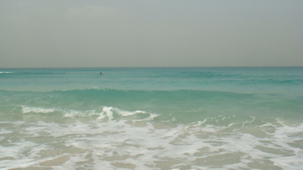 迪拜海滩图片