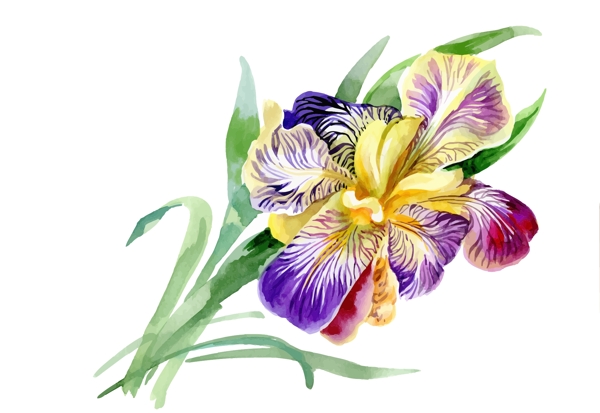 紫色花朵绿叶植物花朵水彩手绘矢量文件