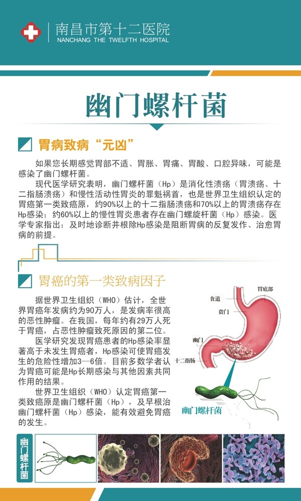 胃肠科医院展板图片