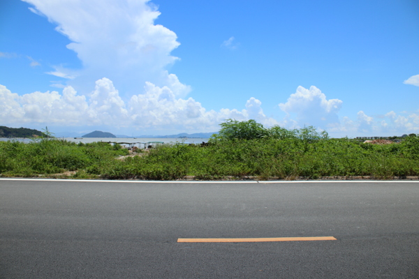 日系夏天