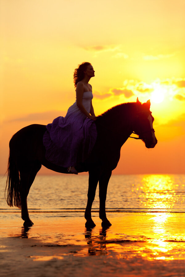 海边骑马的美女图片