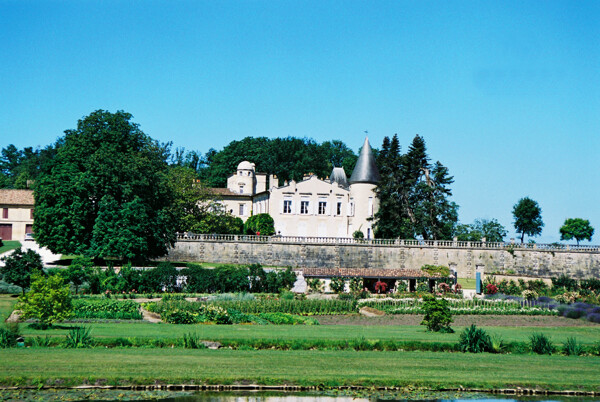 拉菲庄的葡萄园城堡图片