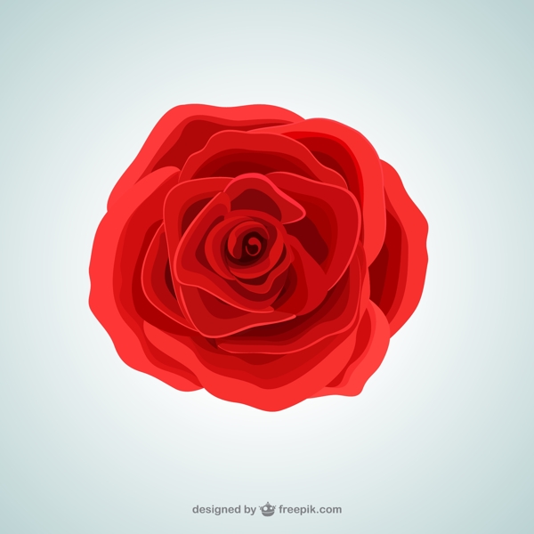 红色玫瑰花朵矢量图