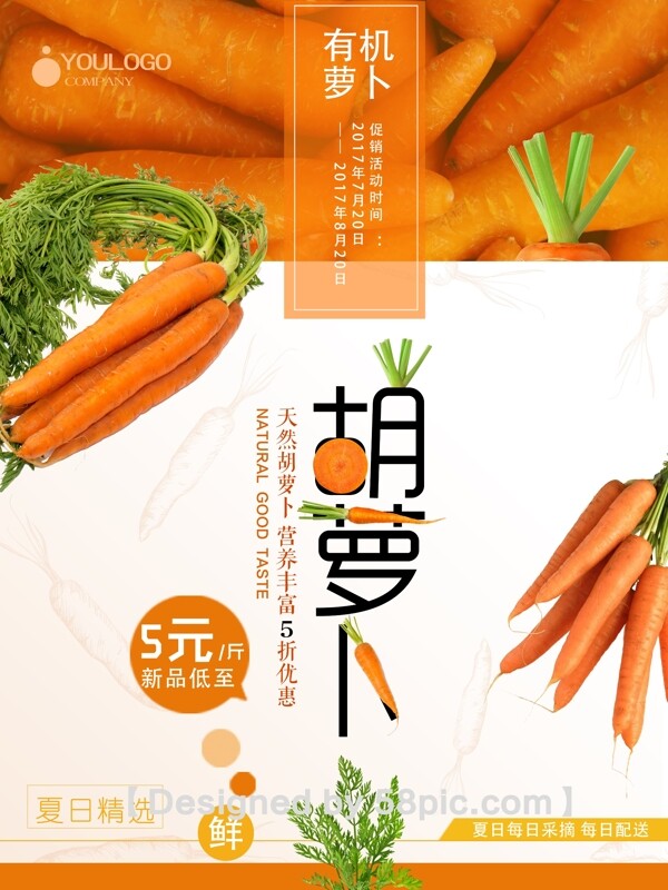 夏日蔬菜精选新鲜萝卜促销海报