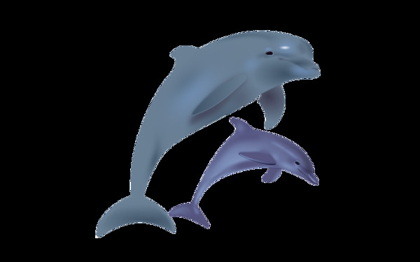 蓝色海豚png元素