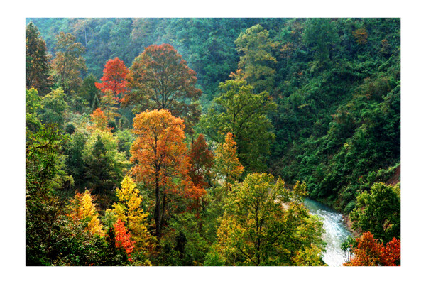 佛顶山风光图片