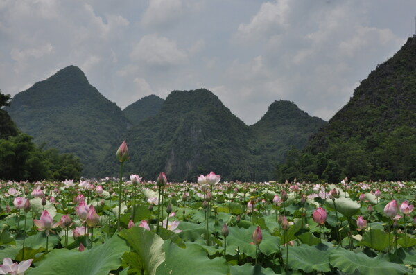 风景画图片