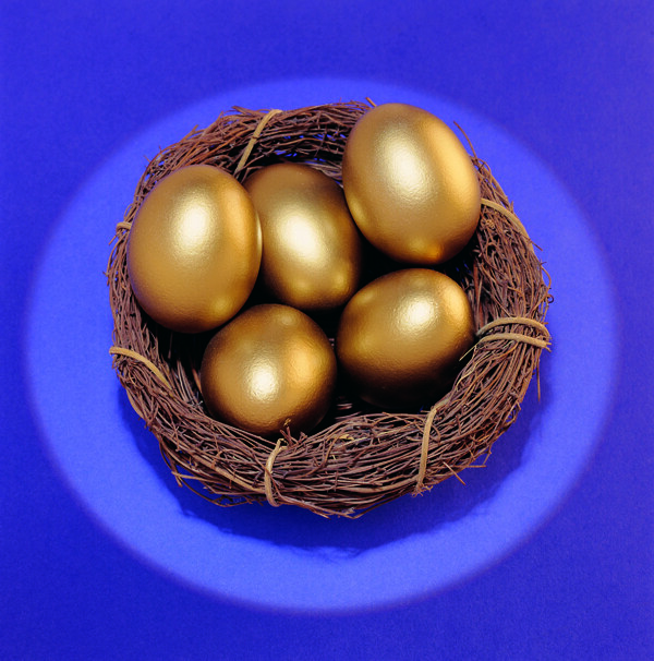 金蛋鸟巢