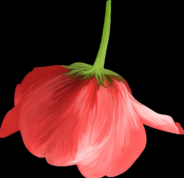 一支倒立的红色花朵png元素素材