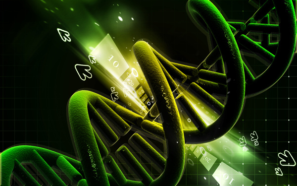 人体DNA结构图片