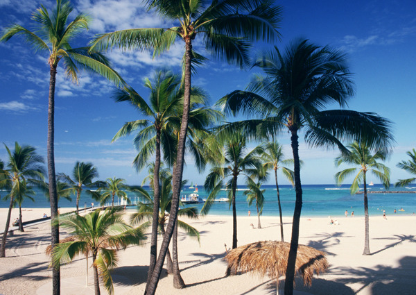 蓝天海岛风情旅游观光沙滩风情海边椰树海浪异国风情