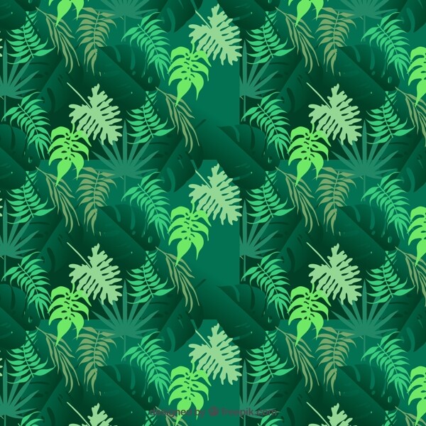 热带树叶图案