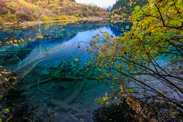 九寨沟五花海图片