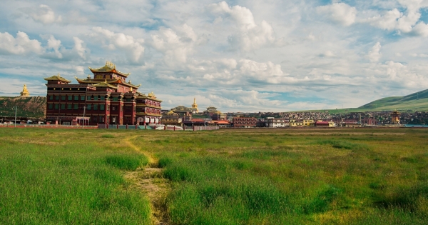 藏区草原
