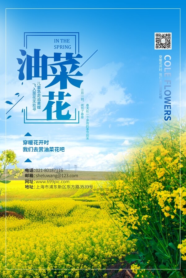 小清新油菜花节春天旅游海报