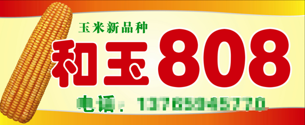 和玉808