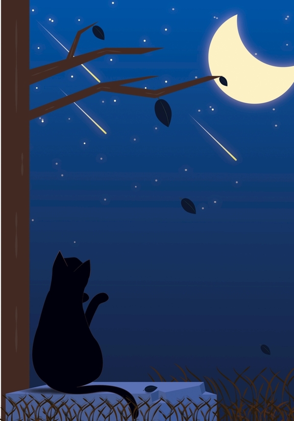 夜空猫插画