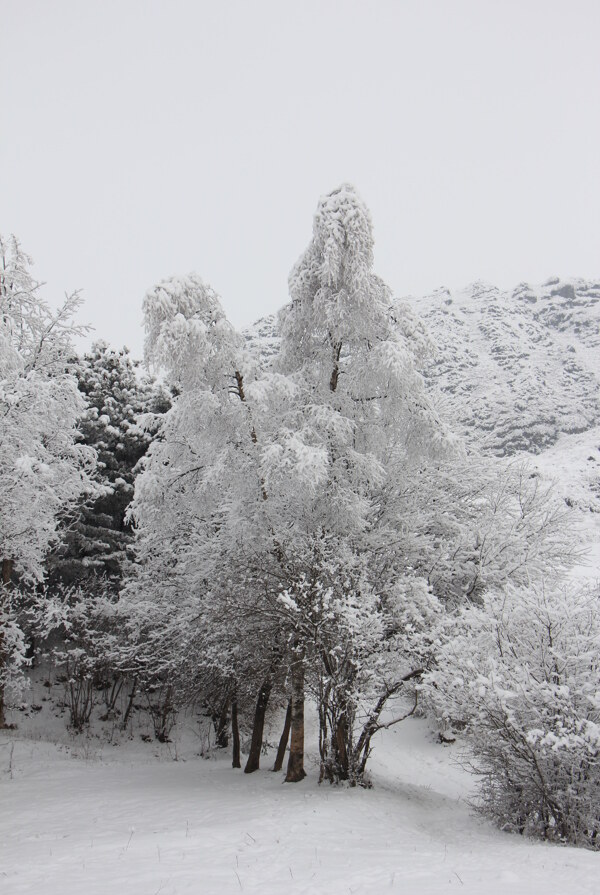 雪景图片