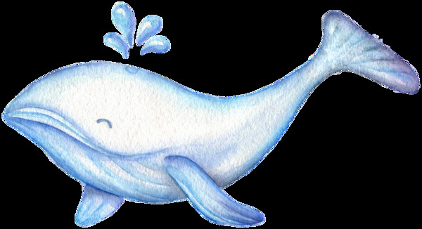 手绘彩铅可爱海洋动物