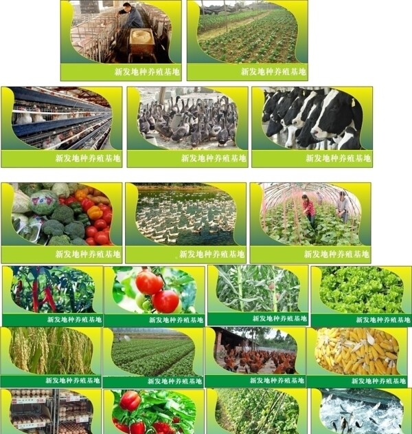 农业发展宣传画图片