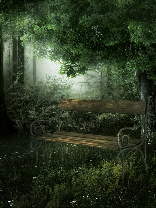 椅子树林背景图片
