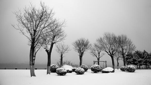 唯美黑白色雪景图片