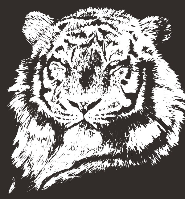 印花矢量图动物老虎色彩黑白色免费素材