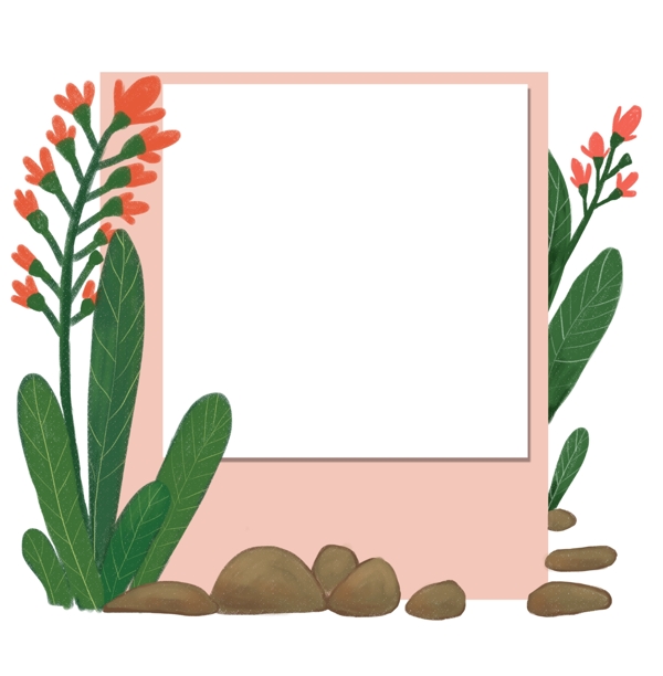 植物红花边框插画