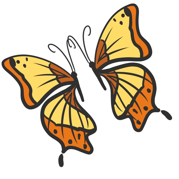 两只黄色蝴蝶插图