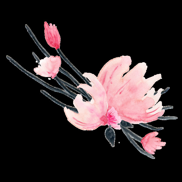 日系花卉透明素材