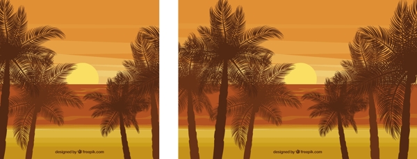 棕榈树在沙滩上的夕阳的背景