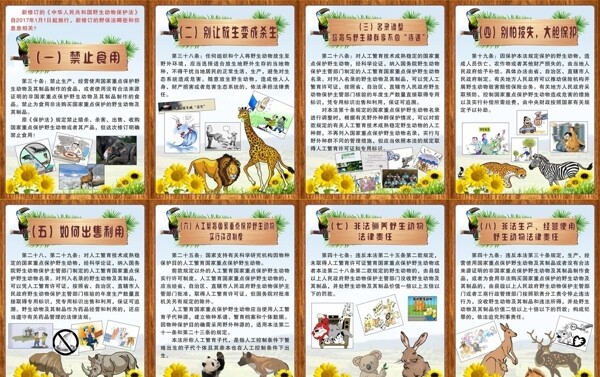 野生动物保宣传展架展板