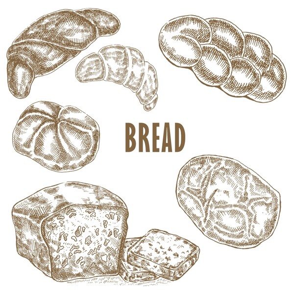 面包素描插画
