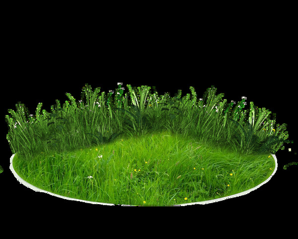 圆形草坪透明素材