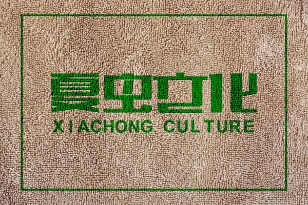 LOGO样机图片