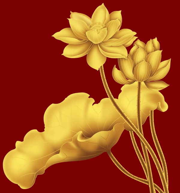 金色莲花图片