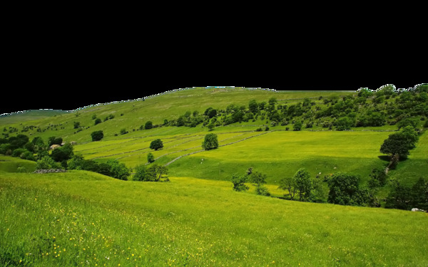 绿色草地草原免抠png透明图层素材