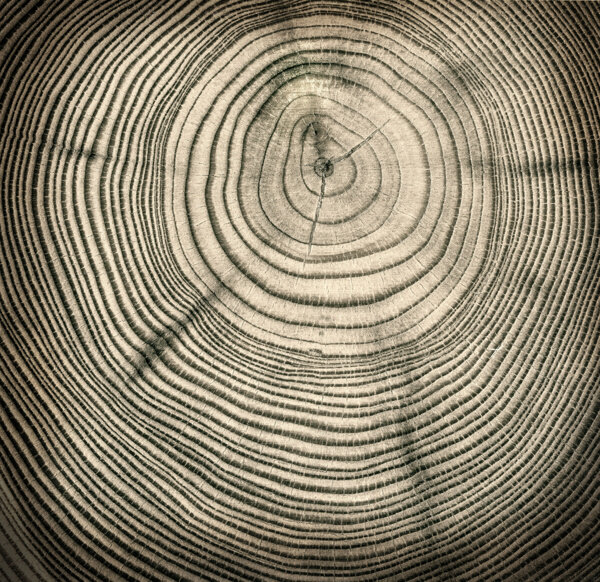 圆环木纹贴图