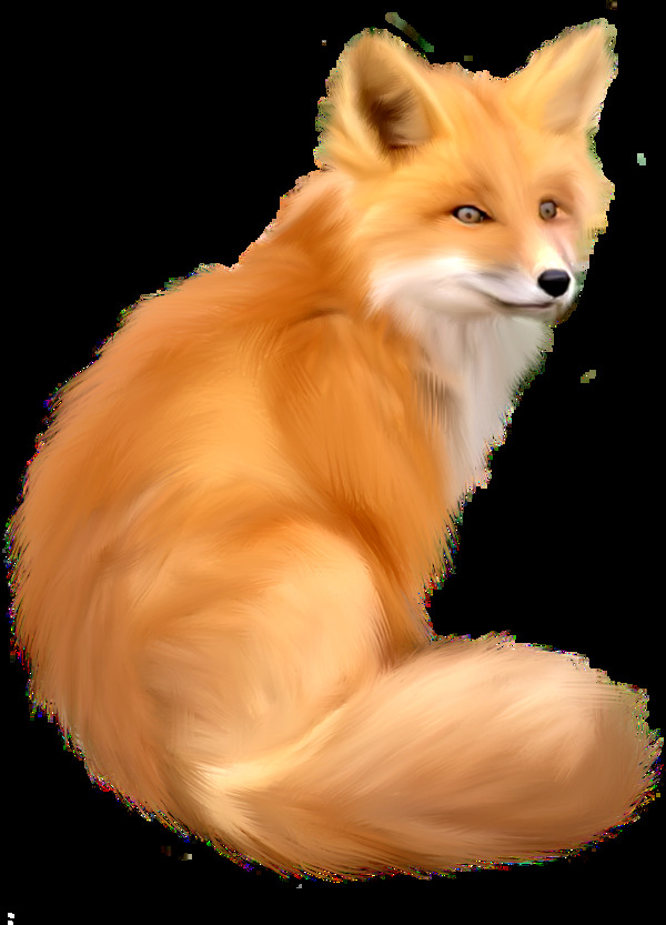 黄色毛发的狐狸免抠png透明图层素材