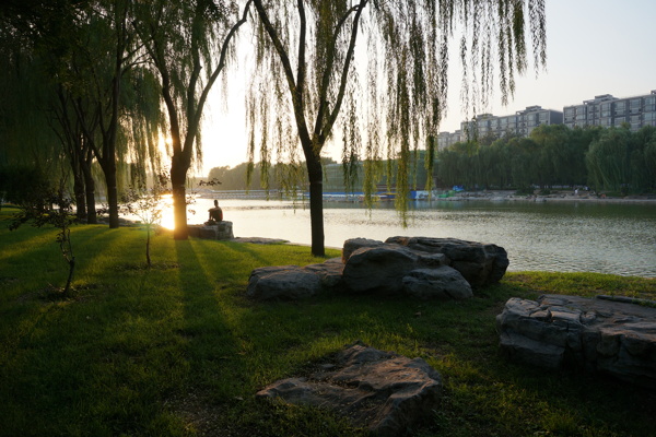 夕阳景观图片